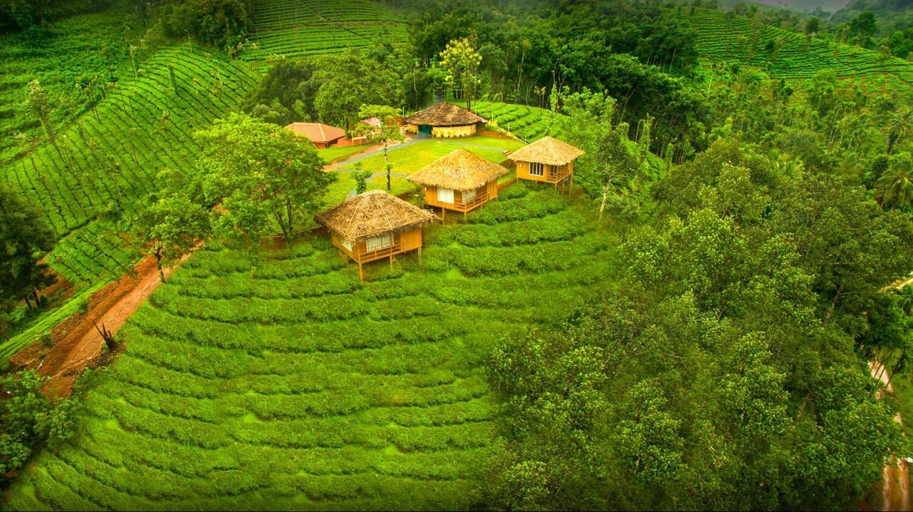 Oxyfarm Resorts Wayanad Zewnętrze zdjęcie