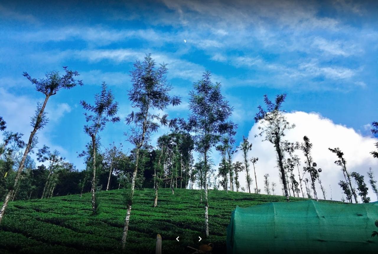 Oxyfarm Resorts Wayanad Zewnętrze zdjęcie