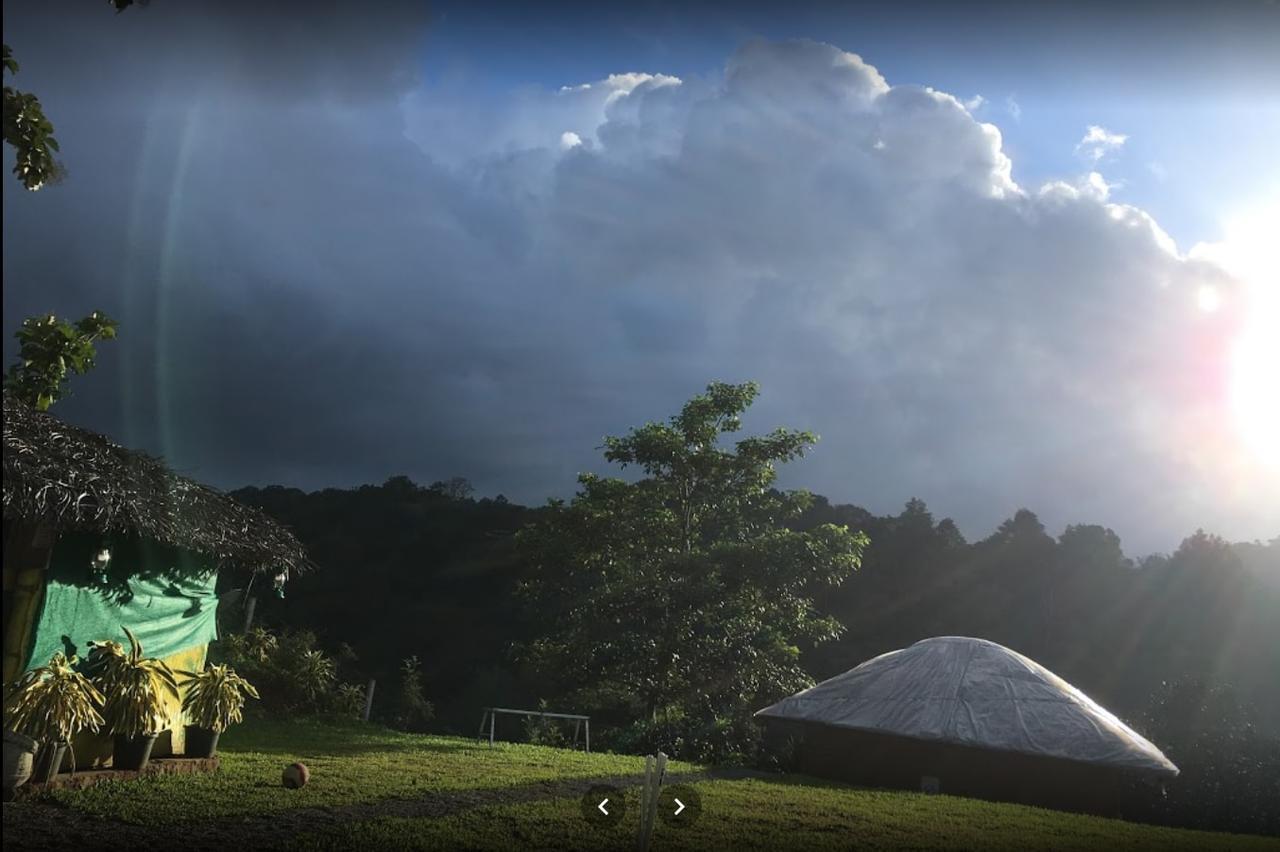 Oxyfarm Resorts Wayanad Zewnętrze zdjęcie