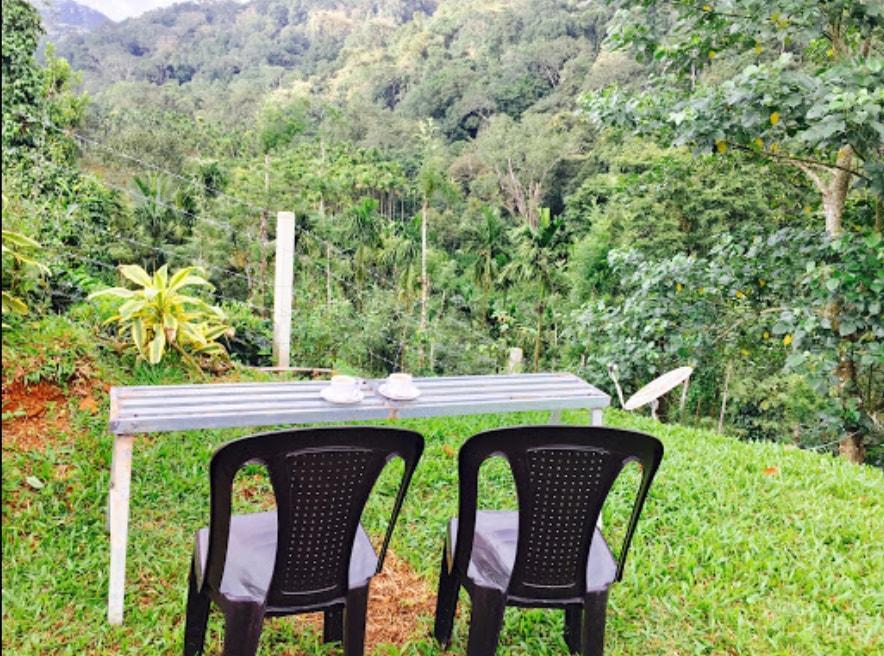 Oxyfarm Resorts Wayanad Zewnętrze zdjęcie